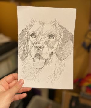 Golden Retriever – A5