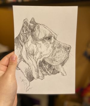Presa Canario – A5