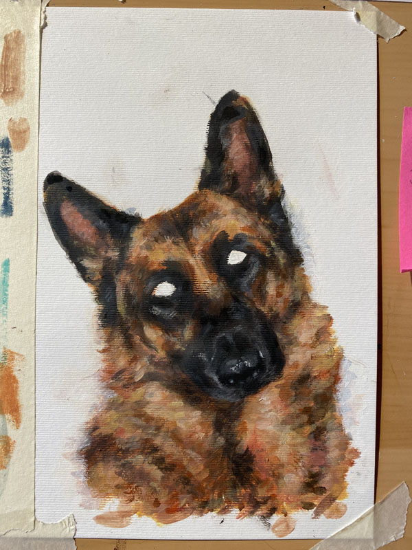 pet portrait painting in progress IMG_0131