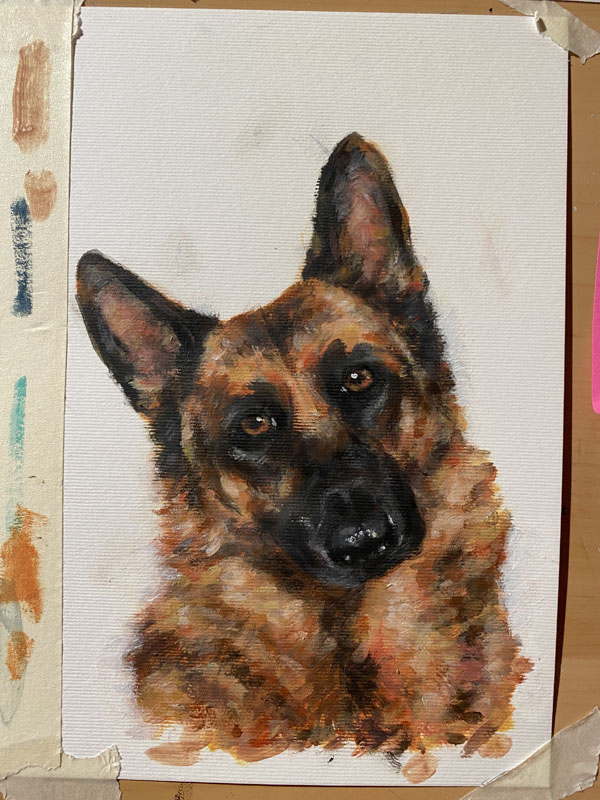 pet portrait painting in progress IMG_0136