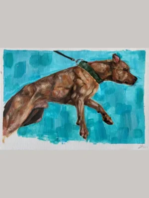 Heracles- APBT Study