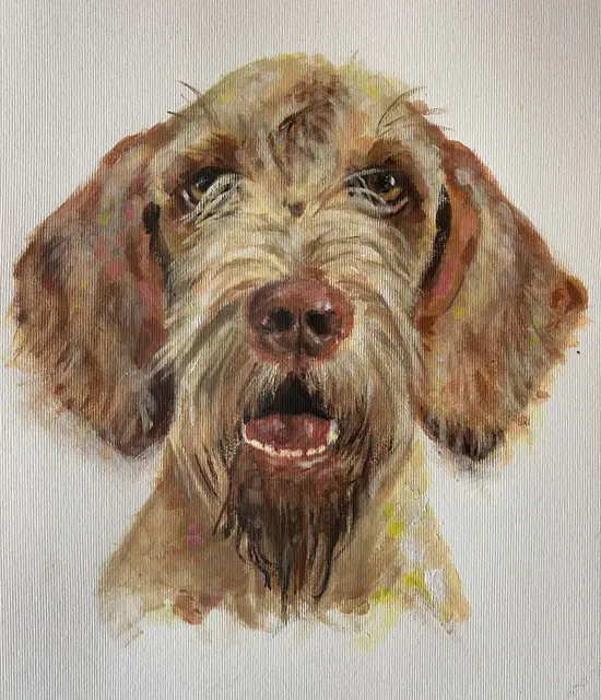 Acrylic Pet Paintings